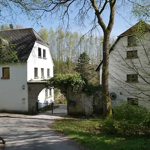 Grünlasmühle Brand